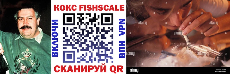 COCAIN Fish Scale  даркнет клад  Темников 