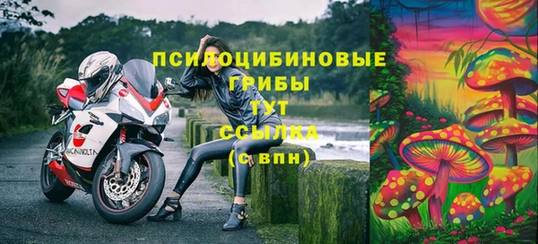 мяу мяу мука Абаза