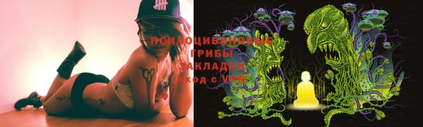 мяу мяу мука Абаза