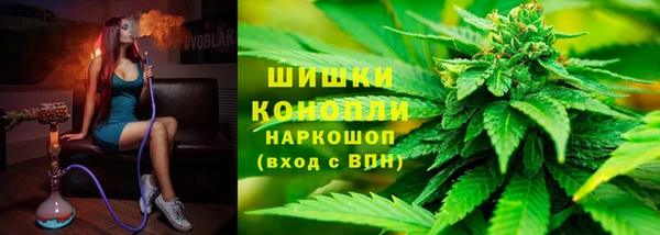 индика Дмитровск