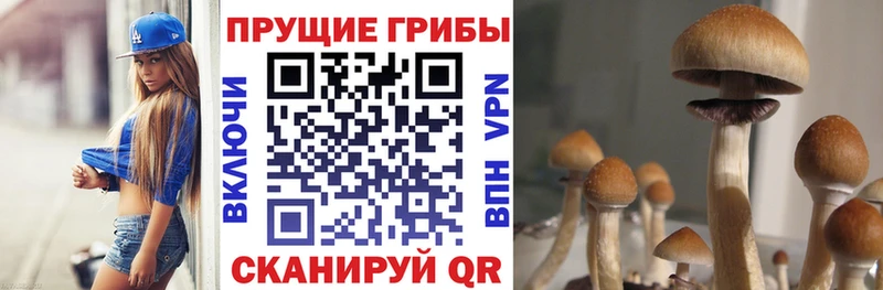 Галлюциногенные грибы мицелий  как найти   МЕГА как зайти  Темников 